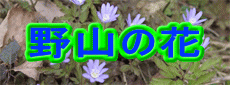 R̉ 